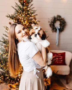 Shih Tzu puppies price