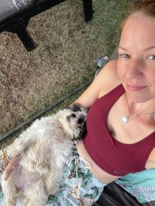 Shih Tzu puppies for sale