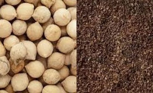 Shivlingi Seeds/ Putrajeevak Beej.