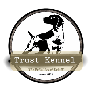 Trust Kennel Chihuahua Puppies Available Here Delhi