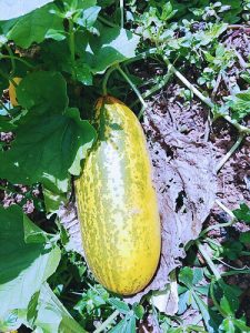 ???? ?????????? ???? ??????????