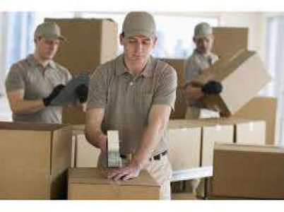 Viva packers and movers