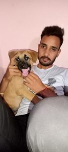 I want to sell my dog