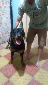 We are planning to give our pet