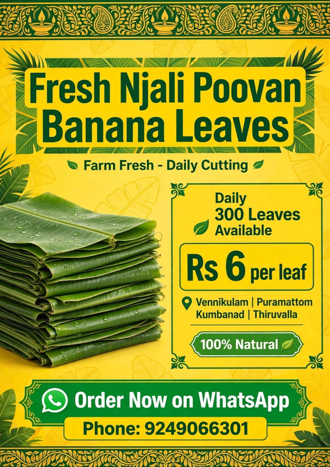 Title: Fresh Njali Poovan Banana Leaves Daily - Vennikulam - 300 LeavesDescription:Daily 300 fresh Njali Poovan Vazhayila available from Vennikulam, Pathanamthitta.Size: Big size, 45-55cm width, green colorPrice: Rs 6 per leaf (Rs 5.5 for 500+ bulk)Farm: