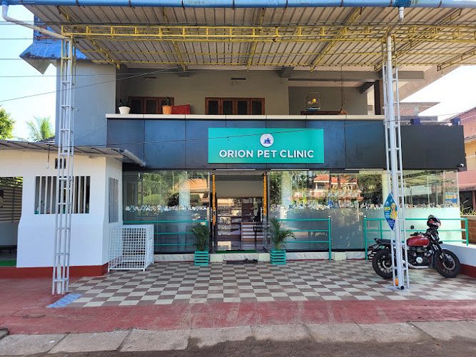 Top Veterinary Clinics in Payyannur, Kannur