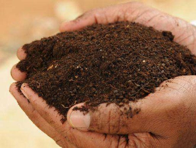 Udayameal Organic Manure