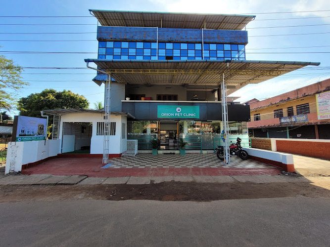 Best Veterinary Doctors in Payyanur, Kannur