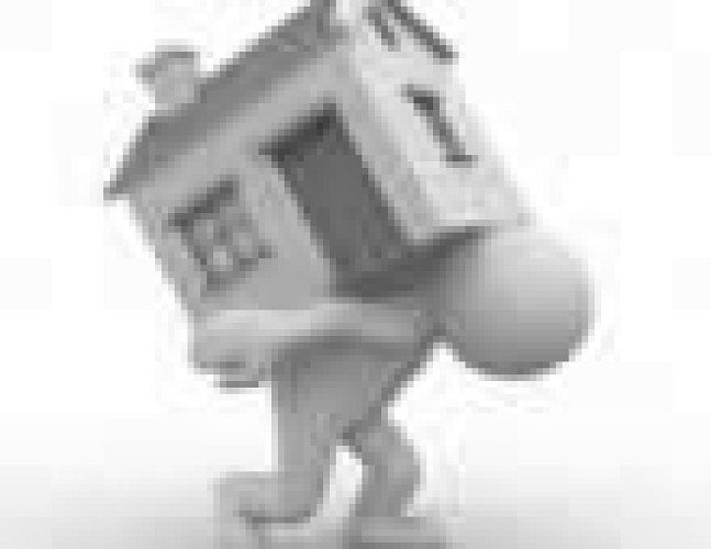 Winsy Movers and Packers service