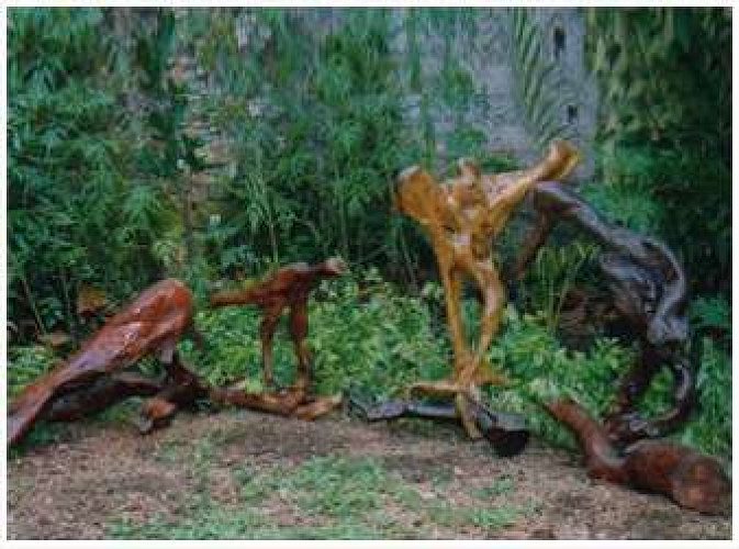 Wonders Of The Wild Sea | Bay Island Driftwood Museum 